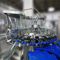 Machine de remplissage de bouteilles en verre monobloc 3 en 1 haute capacité avec une longue durée de vie pour les usines de production d'eau commerciales