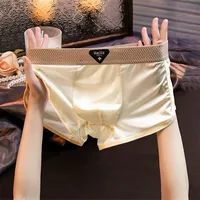 Boxers pour hommes en soie glacée brillante, avec ceinture élastique jacquard respirante, plusieurs couleurs en stock