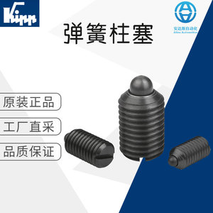 Kipp K0313 Steel <b>Clamping</b> Fastener Standard Industrial Cylinder Component - Product Image 5
