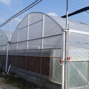 Film PC Sheet Single-Span Hydroponic Strawberry and Tomato Growing Greenhouse Projet clé <span class=keywords><strong>en</strong></span> main Poly Tunnel - Product Image 4
