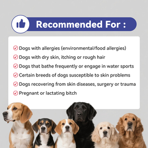 Hanyun Omega 3 mastica morbida per cani integratore di pelle e mantello per cani-integratore di nutrizione vitaminica per cani - Product Image 5