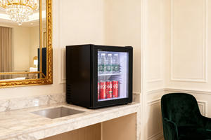 Mini Refrigerador <span class=keywords><strong>Rockstar</strong></span> de Una Puerta, Refrigerador Comercial de Exhibición, Enfriador de Champán para Habitación de <span class=keywords><strong>Hotel</strong></span>, Refrigerador Pequeño - Product Image 5