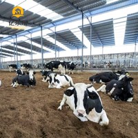 Conception moderne personnalisable Ferme avicole de poulets de chair automatique avec conception et planification gratuites