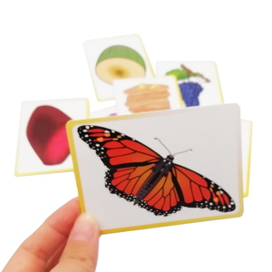 Cartes flash sonores personnalisées pour l'apprentissage des phonèmes, jouets éducatifs imprimés de haute qualité, cartes d'apprentissage de l'alphabétisation pour enfants - Product Image 6