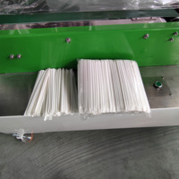 Multi Individual Paper Wrapped Straw Horizontal verpackungs maschine