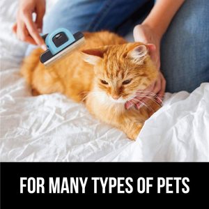 Desbrozadora de pelo para perros largos o cortos, herramienta de aseo para mascotas, nueva versión 2023 - Product Image 6