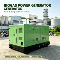 Générateur diesel silencieux triphasé 40 kVA 400 V 50 Hz ATS, groupe électrogène industriel robuste avec sortie 400 V pour l'exploitation minière