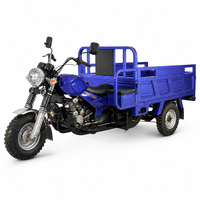 Tricycle à essence robuste à trois roues pour le transport de marchandises, capacité de charge de 700 kg, capacité de montée de 25 degrés, pour la livraison en zone rurale