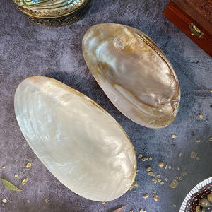 Assiette verte nacre artisanale moule de mer biodégradable conque coquille plat Photo bijoux assiettes décoratives - Product Image 4