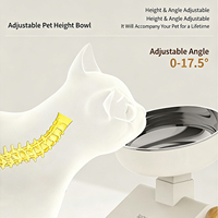 Gamelle surélevée réglable pour animaux de compagnie en acier inoxydable 304, abreuvoir incliné pour chat et chien, protection du cou, accessoires pour animaux