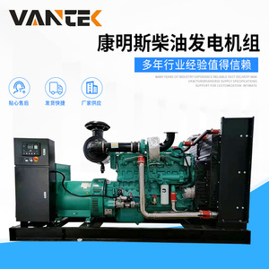 Groupe électrogène diesel Jiangsu Wantai 300 kW avec moteur Stanford et contrôleur Deep Sea - Product Image 5