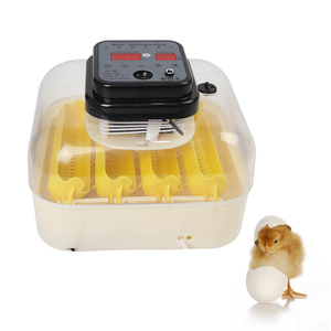 Hot bán nhỏ thông minh tự động trứng lồng ấp đa chức năng điều khiển từ xa <span class=keywords><strong>hatcher</strong></span> Top Sản phẩm bán chạy - Product Image 3