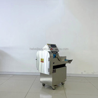 Automatische commerciële fruit- en groentesnijmachine met motor & motorblok, multifunctionele snijmachine voor voedselverwerkingsbedrijven