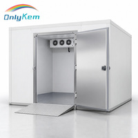 Chambre froide de stockage pour boissons, 10Ft, 20Ft, 40Ft, avec panneaux en PU et porte à charnières