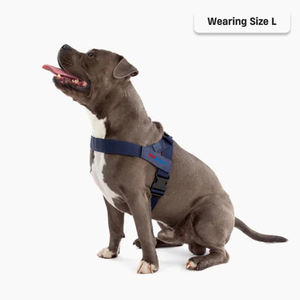 <span class=keywords><strong>Harness</strong></span> anjing ringan, <span class=keywords><strong>Harness</strong></span> anjing ringan mudah dipakai dengan pegangan d-ring tambahan <span class=keywords><strong>Navy</strong></span> <span class=keywords><strong>Blue</strong></span>, harnes anjing untuk jalan-jalan sehari-hari - Product Image 3