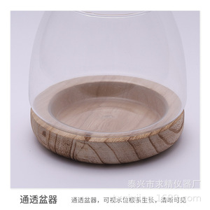 Transparent Glass Hydroponic <b>Vase</b> With Wooden Base For Indoor Plants Decorative Tabletop Use - Product Image 4