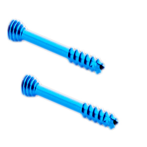 <span class=keywords><strong>Vite</strong></span> di Compressione Medica in Titanio Personalizzata - Elemento di Fissaggio Metrico con Filettatura Ovale - Product Image 2