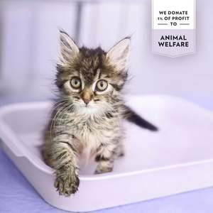 <span class=keywords><strong>Arena</strong></span> para Gatos PrimaCat-Hygienic con Aroma a Lavanda, Fuerte Aglomeración y Alta Absorbencia, Arcilla <span class=keywords><strong>de</strong></span> Larga Duración 5L (4kg) - Exclusivo - Product Image 4