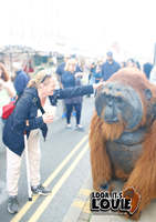 Costume de gorille animatronique réaliste grandeur nature, tenue de mascotte singe portable pour adulte, idéal pour les événements de parcs à thème et les spectacles d'Halloween