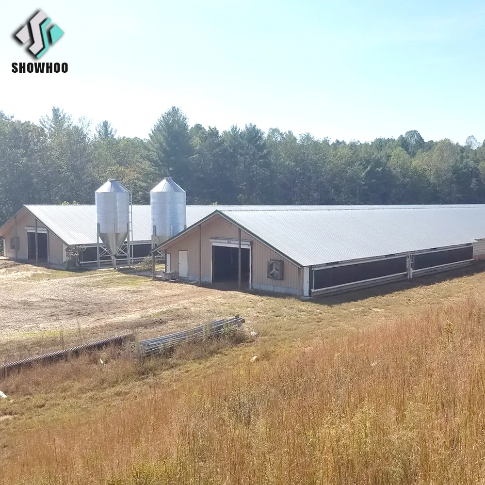 A buon mercato nuovo disegno di luce struttura in acciaio prefabbricata casa di pollo pollame farm building per la vendita