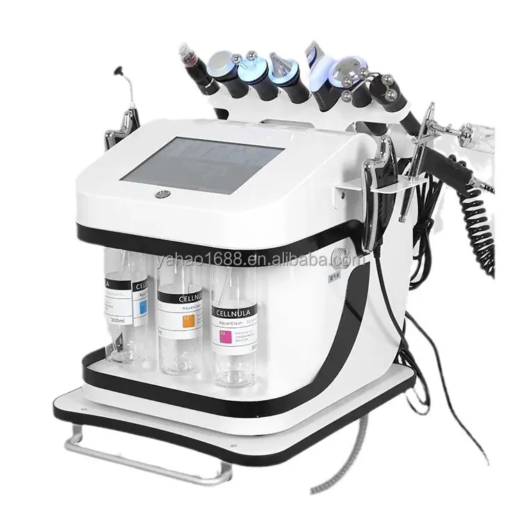 10 in 1 skin management small bubble facial cleansing and oxygen injection dermabrasion machine