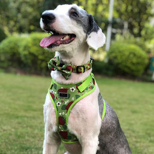Reflecterende Kleine Geen Pull Gewatteerde Hond Harnas Leah Bedrukt Sublimatie Huisdier Accessoires Neopreen Halsbanden Vlinderdas - Product Image 2