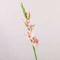 Fleur artificielle de gladiole en latex souple de haute qualité W-A0285, toucher réel, pour la décoration de la maison, de mariage et de remise de diplôme