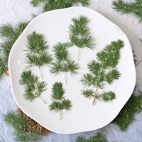 Asparagus Fern Scrapbooking Epoxy Resin Tanaman Alami Ramah Lingkungan