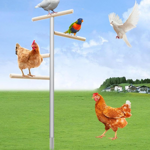 Percha <span class=keywords><strong>de</strong></span> pollo grande personalizada, juguetes, nueva barra <span class=keywords><strong>de</strong></span> descanso <span class=keywords><strong>para</strong></span> aves <span class=keywords><strong>de</strong></span> corral, gallo, pájaros grandes, incluidos loros - Product Image 4