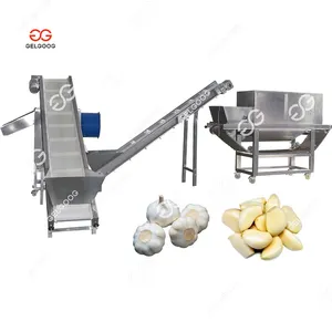 Full Automatic Dry Wet Garlic Peeling Machines Packaging Vertical Supplier Garlic Tooth Peeler 1200Kg/H