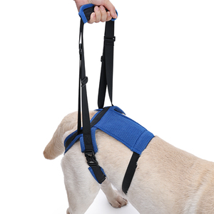 Arnês para Cães Sem Puxar Ajustável e Confortável em Poliéster com Malha Respirável para Suporte às Patas Traseiras - Product Image 4