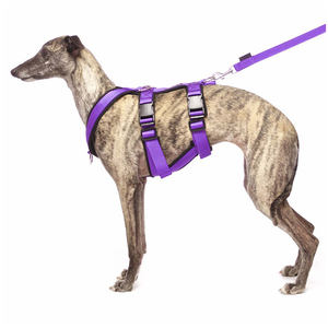 犬用胸ボディベルトグレイハウンドハーネスパディング付きプロメーカー調整可能 - Product Image 6