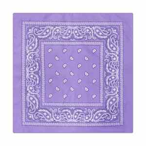Bandanas Personalizadas con Estampado, Conjuntos a Juego para Perros y Gatos, Ideales para Paseos, Salidas al Parque y Diversión - Product Image 4