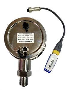 High Digital Gauge YW-100B Storage Data Export Function 4-20mA/RS485 YW-100B Digital Gauge High Digital Gauge YW-100B S - Product Image 4