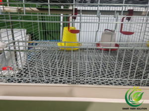 Nueva Jaula para Pollitos de Acero Galvanizado Tipo H de Cuatro Niveles y <span class=keywords><strong>Ocho</strong></span> Puertas, de Alta Calidad, Fabricada con Acero Q235 con Alto Contenido de Carbono, Entrega en 45 Días - Product Image 4