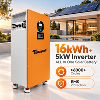 Système solaire hors réseau Tewaycell 16 kWh 5 kW avec onduleur, stockage solaire tout-en-un, équilibrage actif, batterie LiFePO4 51,2 V 314 Ah, ESS domestique, WiFi