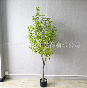 Venta al por mayor <span class=keywords><strong>Ginkgo</strong></span> <span class=keywords><strong>Bonsai</strong></span> árbol artificial interior/exterior decoración de plantas verdes con PU y materiales plásticos - Product Image 6