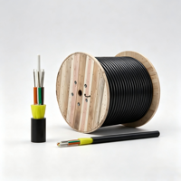 Kabel Serat Optik ADSS MultiMode/SingleMode 4 8 12 24 48 Core untuk Luar Ruangan, Kabel Serat Optik ADSS Mikro ASU Udara
