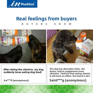 Compresse Multivitaminiche Personalizzate OEM ODM per Cani e Gatti, Integratore di Vitamine B, Stimolante dell'Appetito, Supporto Immunitario, Nutrizione per Animali Domestici in Confezione Convenienza - Product Image 4