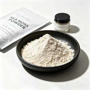 Suministro de Fábrica: Polvo de Musgo Irlandés Natural de Alta Calidad, Grado Alimenticio, a Granel para Suplementos - Product Image 1