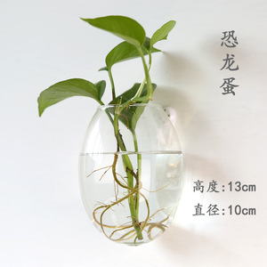 Maceta <span class=keywords><strong>de</strong></span> Cristal Creativa para Plantas Hidropónicas Colgantes, con Forma <span class=keywords><strong>de</strong></span> <span class=keywords><strong>Huevo</strong></span> <span class=keywords><strong>de</strong></span> Dinosaurio, para Montar en la Pared, Transparente, para Flores, Pecera Pequeña, Estilo Moderno y Simple - Product Image 6