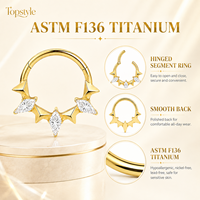 Anneau de piercing de luxe en titane ASTM F136 avec étoile en zircon cubique, à charnière, pour septum, nez, hélix
