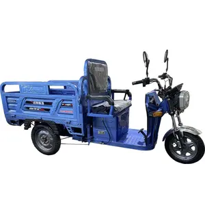 Elektrik trike e trike 0.2ton 200 kg 500 kg elektrik damperli üç tekerlekli bisiklet ağır yükleme üç tekerlekli bisiklet 3 tekerlekli satılık