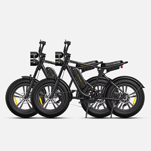 Bicicleta Eléctrica ENGWE M20 Económica en Venta en Almacén Europeo, Aleación de Aluminio, Llanta de 20 Pulgadas, Bicicleta Eléctrica para Adultos con Llantas Anchas - Product Image 2