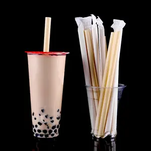 High Quality Custom Printed Sugarcane Bagasse Drinking Disposable Straws For Juice Drinks