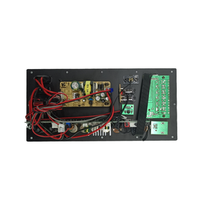 Amplificatore per Subwoofer Classe D da <span class=keywords><strong>100</strong></span> Watt, Scheda Ricevitore e Amplificatore, Vendita Calda - Product Image 2