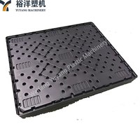 Máquina de Moldeo por Extrusión y Soplado de Palés de 1.2*1m con Pruebas Rigurosas de Prevención de Fallos en Toda la Unidad para Línea de Producción de Palés de Plástico HDPE