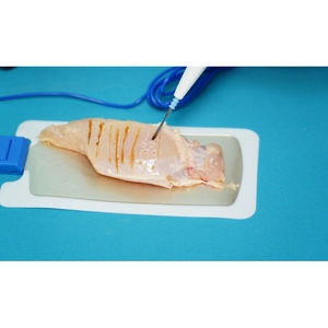 Veterinária alta freqüência elétrica eletrocautério máquina BPM BPM-ES109 Cauterizador cirúrgico com certificação CE - Product Image 4