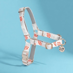 Arnés para Perro Talla L, Moderno, Lujoso, Duradero, Transpirable, Antitirones, de Algodón con Estampado Exclusivo, Personalizado, para Perros Adorables, Venta al Por Mayor - Product Image 1