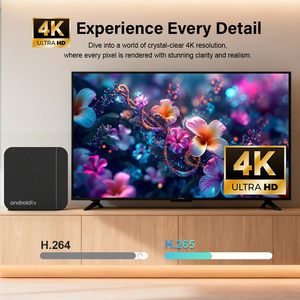 S13 Neo Android <span class=keywords><strong>TV</strong></span> Box H313 Quad Core 4K Reproductor Multimedia Inteligente Android 10 2.4G 5G WiFi Bajo Costo Venta al por Mayor Suministro OEM Mercado Global - Product Image 3